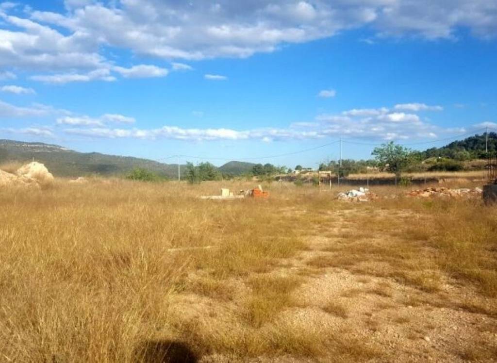 New Build - Detached Villa - Monovar