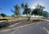 New Build - Land - Ubeda