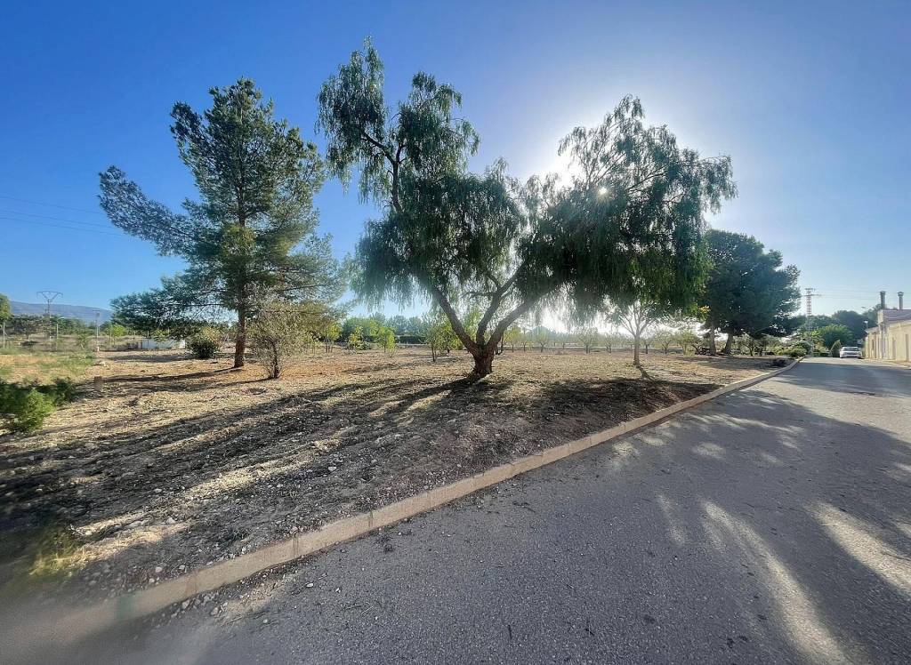 New Build - Land - Ubeda