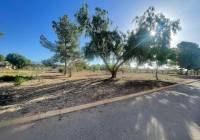 New Build - Land - Ubeda