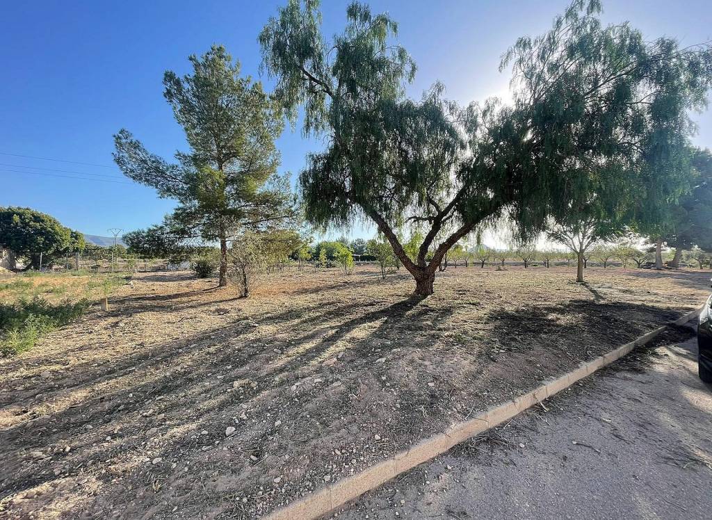 New Build - Land - Ubeda