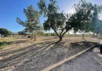 New Build - Land - Ubeda