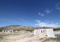 New Build - Villa - Aspe