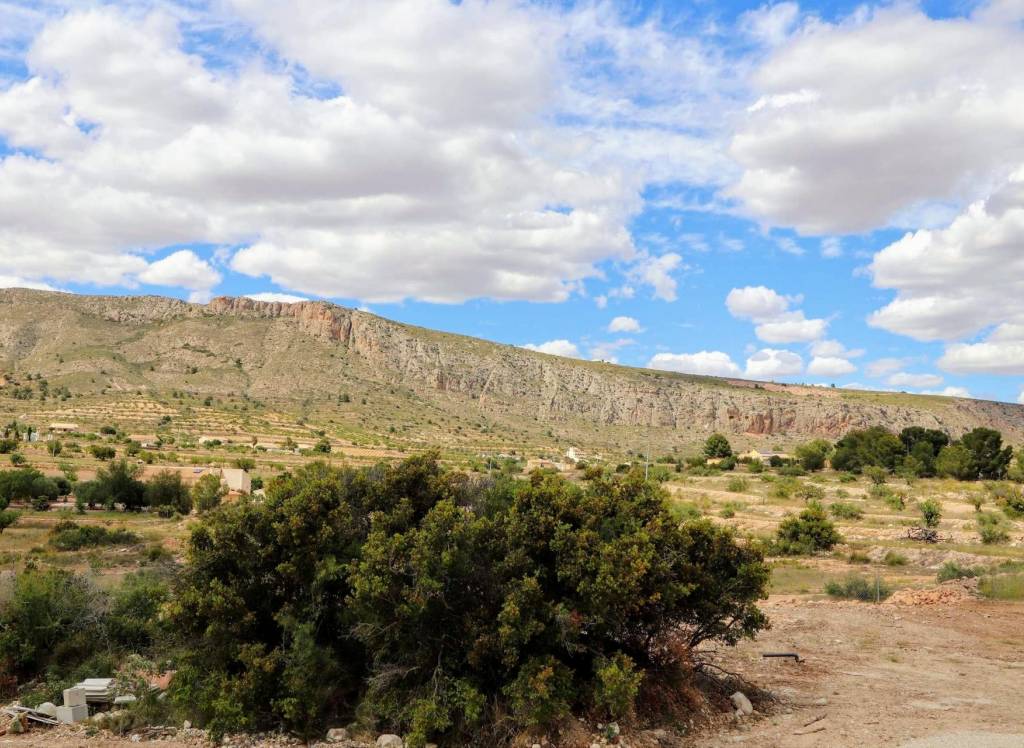 New Build - Villa - Aspe