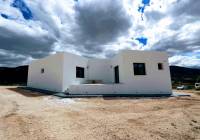 New Build - Villa - Aspe