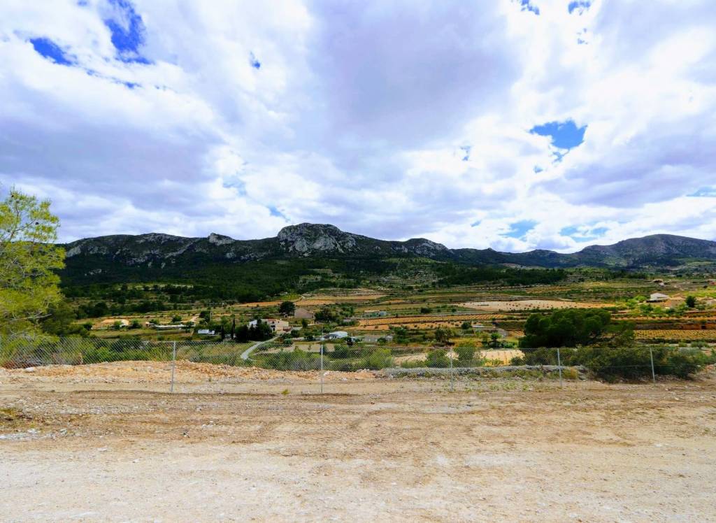 New Build - Villa - Aspe