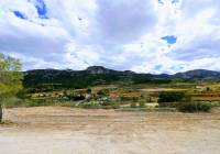 New Build - Villa - Aspe