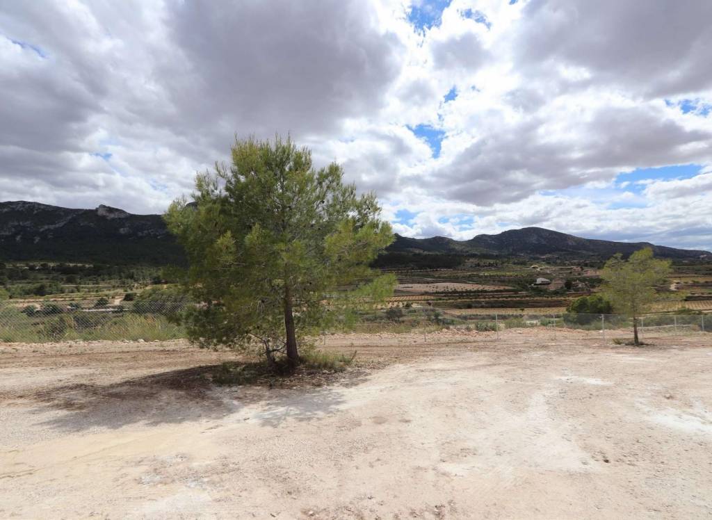 New Build - Villa - Aspe