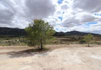 New Build - Villa - Aspe