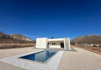 New Build - Villa - El Canton