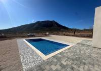 New Build - Villa - El Canton