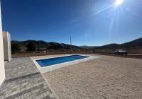 New Build - Villa - El Canton