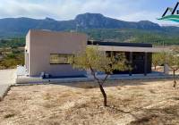 New Build - Villa - Hondón de las Nieves - Rural location