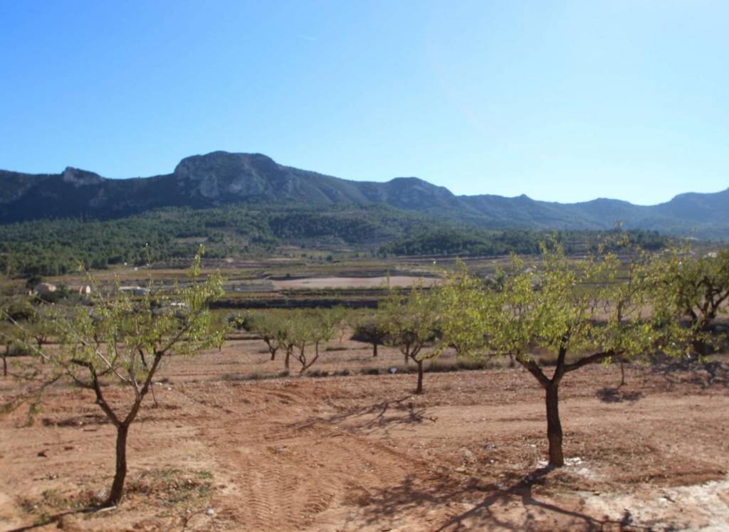 New Build - Villa - Hondón de las Nieves