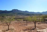 New Build - Villa - Hondón de las Nieves