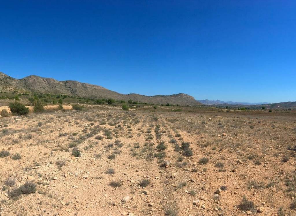 New Build - Villa - Hondón de las Nieves