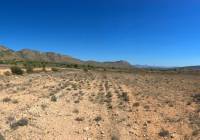 New Build - Villa - Hondón de las Nieves