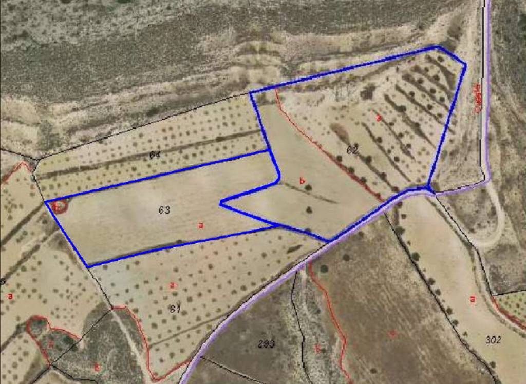 New Build - Villa - Jumilla