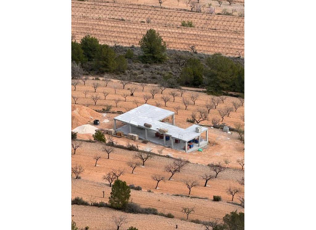 New Build - Villa - La Romana