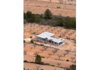 New Build - Villa - La Romana