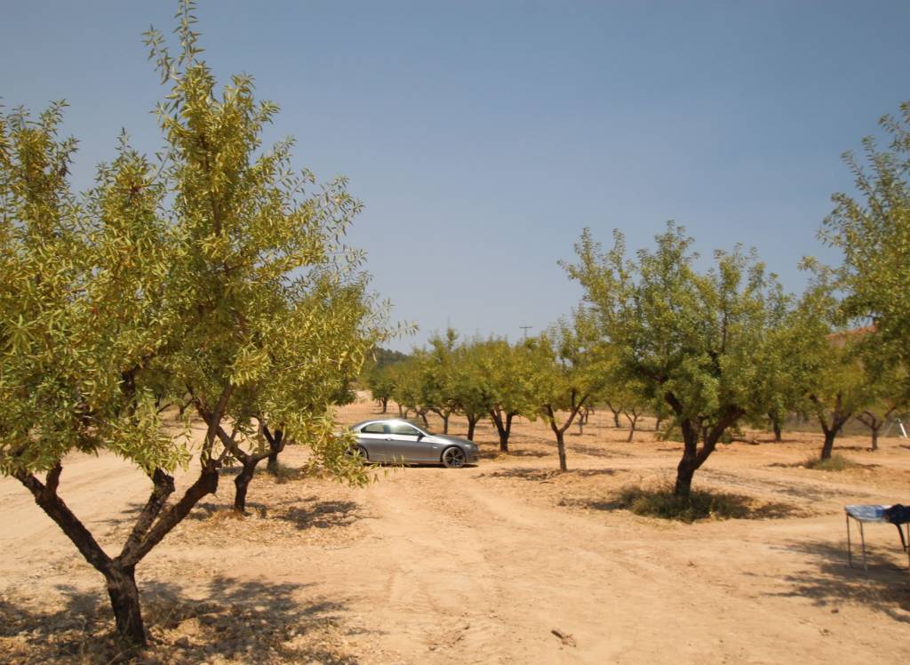 New Build - Villa - Pinoso - Rural location