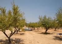 New Build - Villa - Pinoso - Rural location