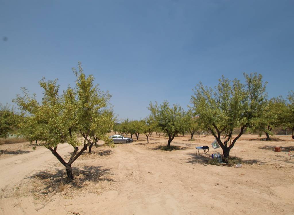 New Build - Villa - Pinoso - Rural location