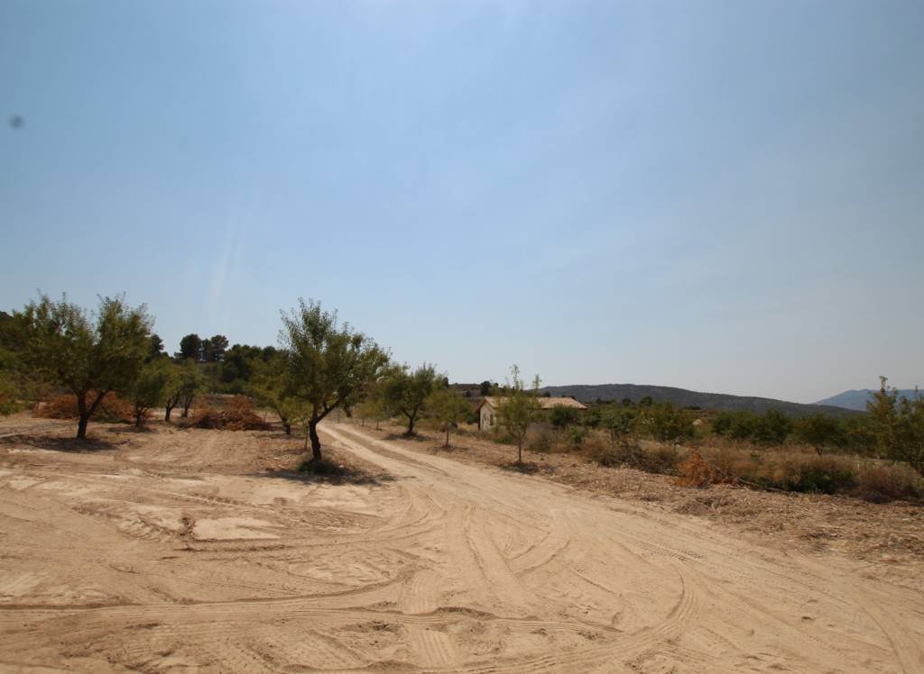 New Build - Villa - Pinoso - Rural location