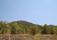 New Build - Villa - Pinoso - Rural location