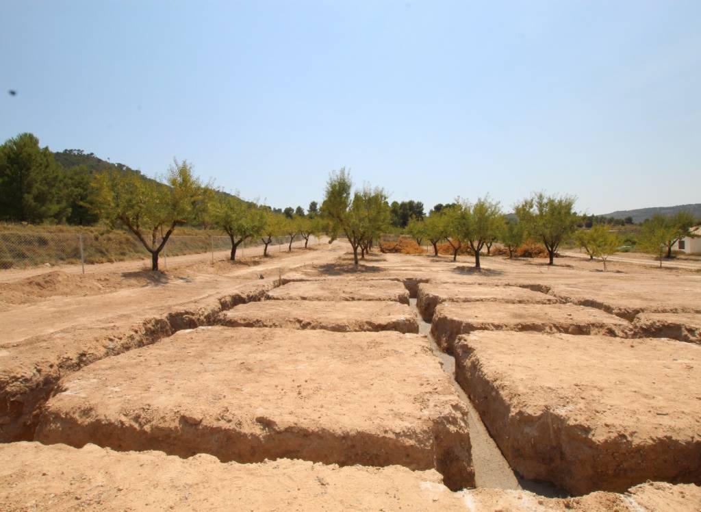 New Build - Villa - Pinoso - Rural location