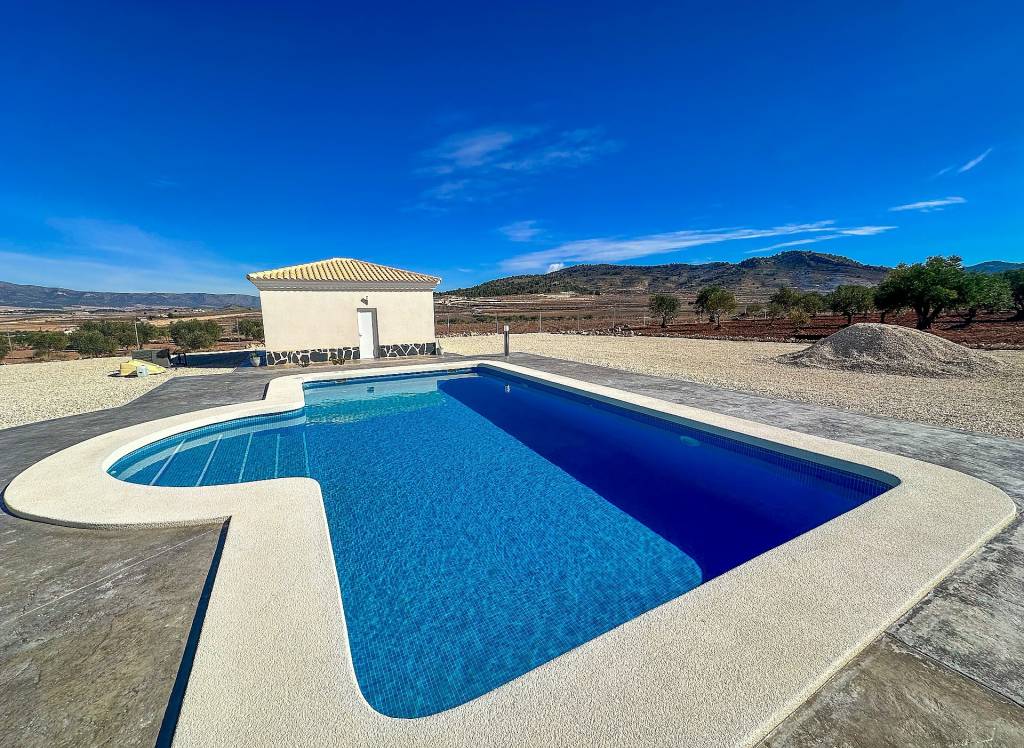 New Build - Villa - Pinoso