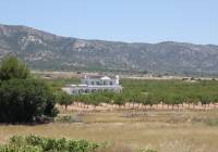 New Build - Villa - Pinoso