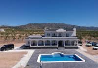 New Build - Villa - Pinoso