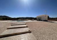 New Build - Villa - Pinoso