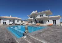 New Build - Villa - Pinoso