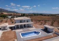 New Build - Villa - Pinoso