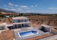 New Build - Villa - Pinoso