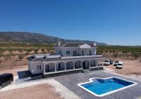New Build - Villa - Pinoso