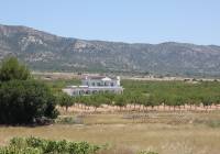 New Build - Villa - Pinoso