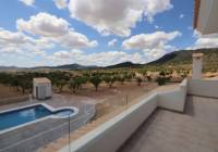 New Build - Villa - Pinoso