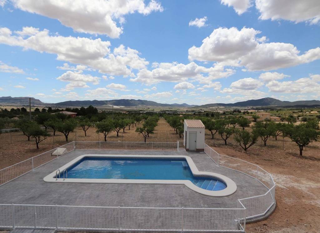 New Build - Villa - Pinoso