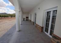 New Build - Villa - Pinoso