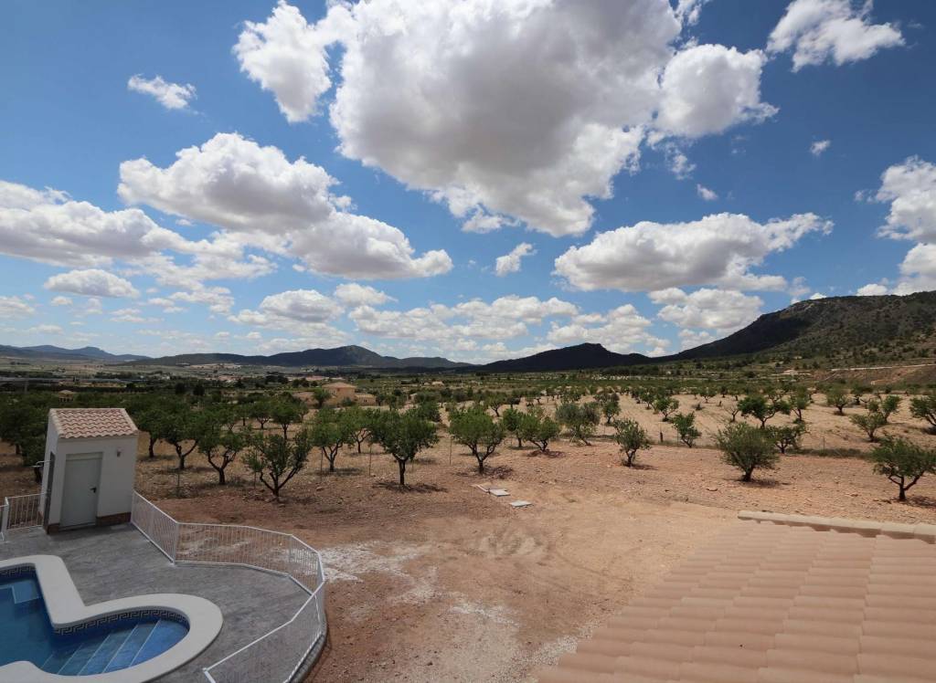 New Build - Villa - Pinoso