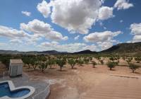 New Build - Villa - Pinoso