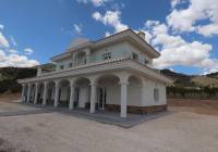 New Build - Villa - Pinoso