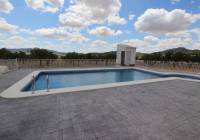 New Build - Villa - Pinoso