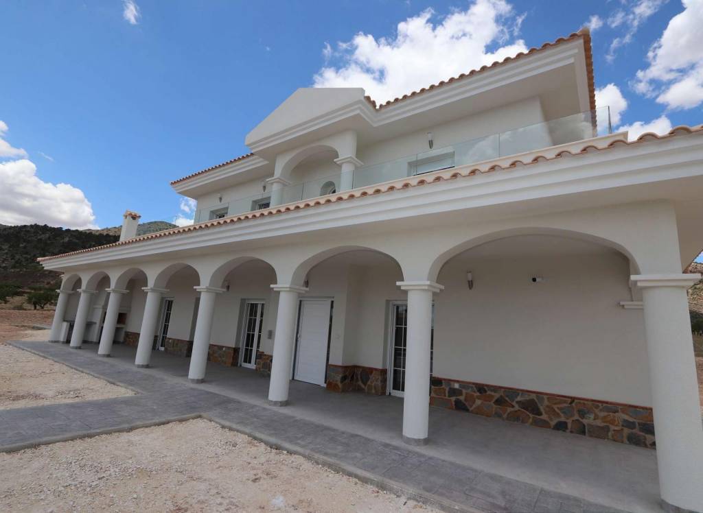 New Build - Villa - Pinoso