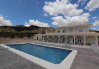 New Build - Villa - Pinoso