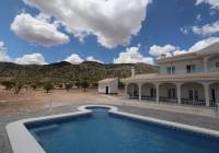 New Build - Villa - Pinoso