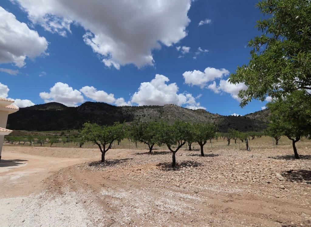 New Build - Villa - Pinoso